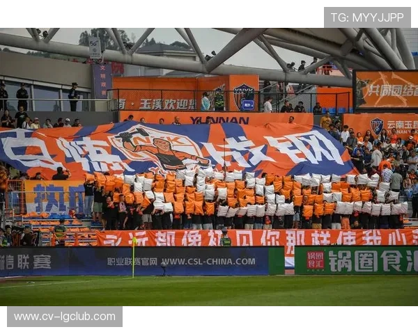 围绕云南足球哪一名最强展开全方位实力对比与发展前景深度解析